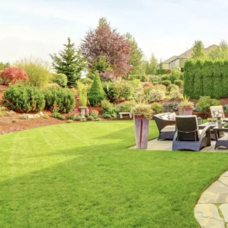 Image of a newly landscaped yard showing green grass, shrubs and clean edging.